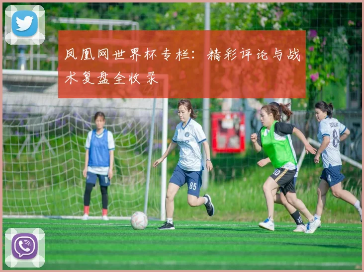 凤凰网世界杯专栏:精彩评论与战术复盘全收录